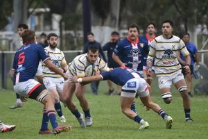 imgi_11_image